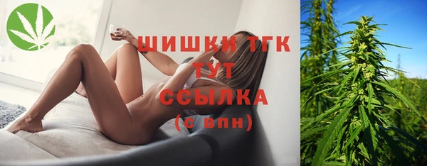 гидропоника Горно-Алтайск