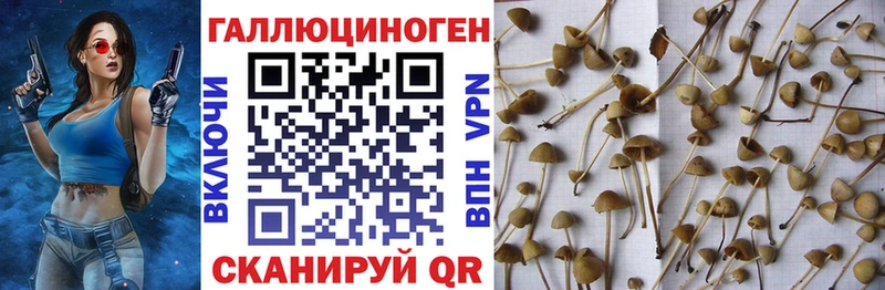 Галлюциногенные грибы GOLDEN TEACHER  mega   Ермолино  цены  
